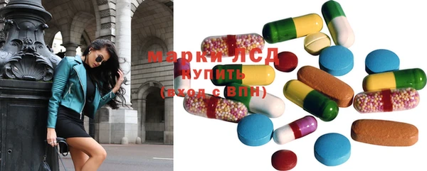 PSILOCYBIN Баксан