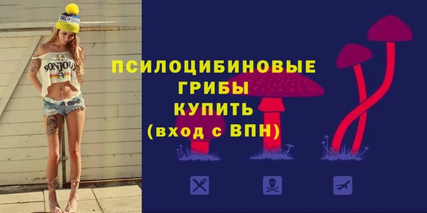 сатива Армянск