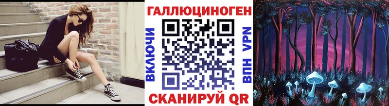 Галлюциногенные грибы Psilocybine cubensis  Курганинск 