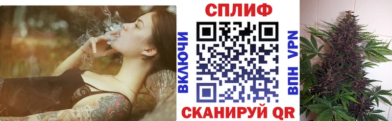 Конопля семена  дарк нет телеграм  Курганинск  как найти  